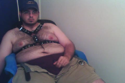Bear cub wanking in new harness, 11-15-12