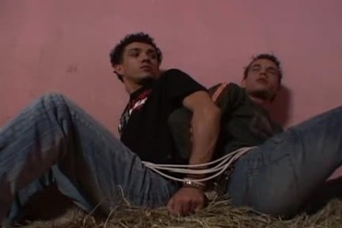 Stable of male longing