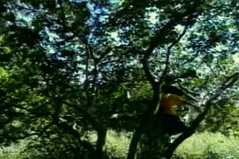 enjoying an ass picnic