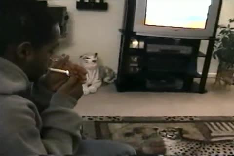 Tigg'r suck off Round 1