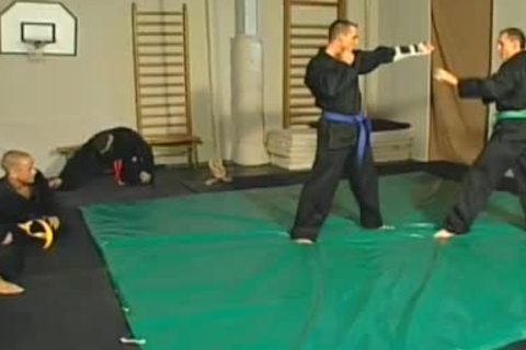 twinks Stuff Their Back holes With Other's meat