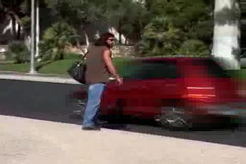 Zebs Vagas Adevnture