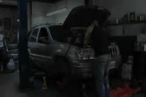 big cock plow