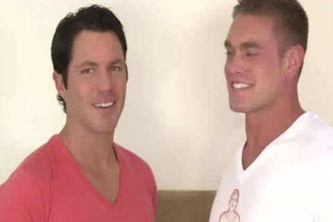 lovely studs