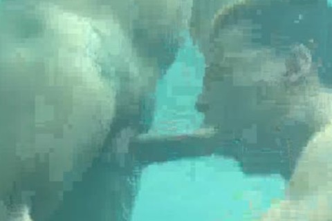 underWATER SCENE 1
