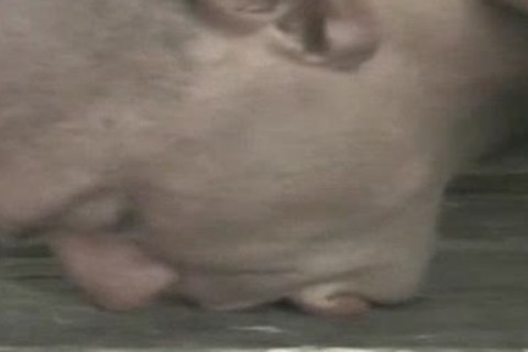 Skinhead Sex