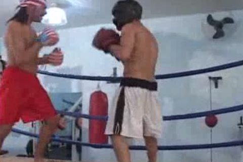 Brazilian Boxers