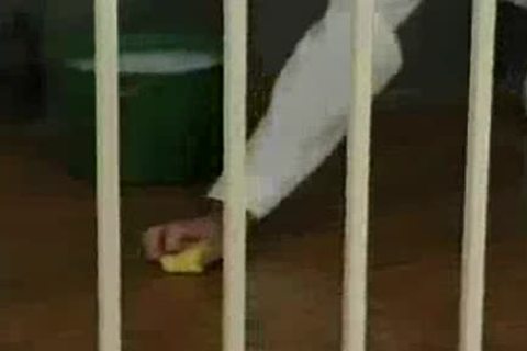 Eric & Peter Belowthedecks