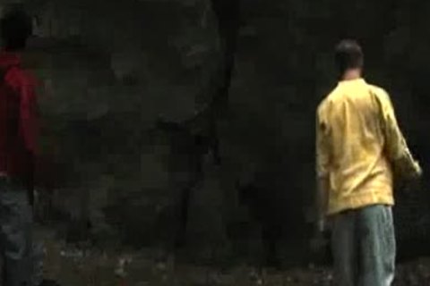 Jungle boys