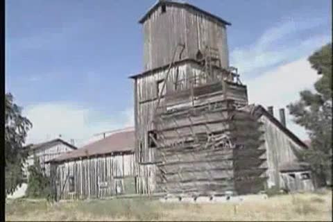 Cowdude band pleasure