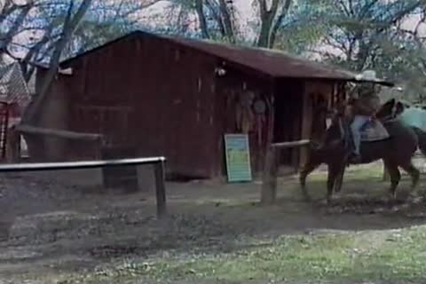 wanking in the barn