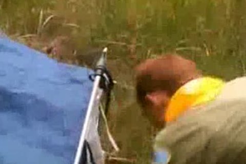 twinkscouts