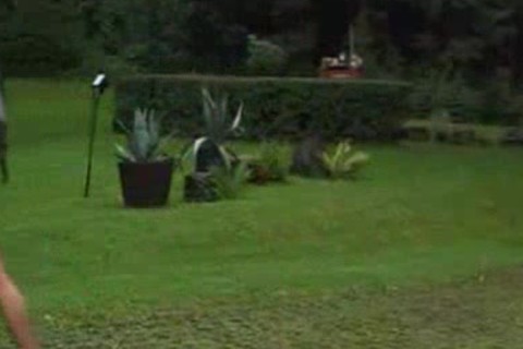 Client pounds Barfellow