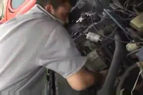 attractive Mechanic Bears