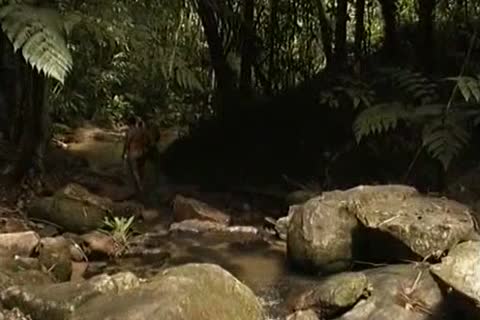 gay Sex By Tthis man Waterfall