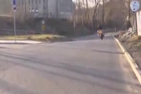 double penetration Bb