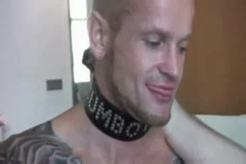 Peto pounds exposed