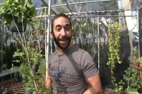 Cole bonks Mike Dreyden