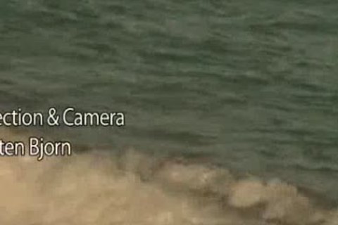 house Warming Party 2