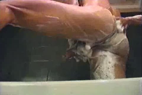 Oscarcito