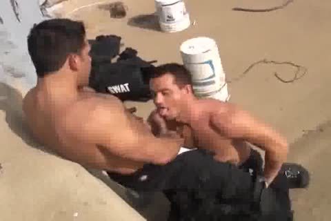 Swat Team