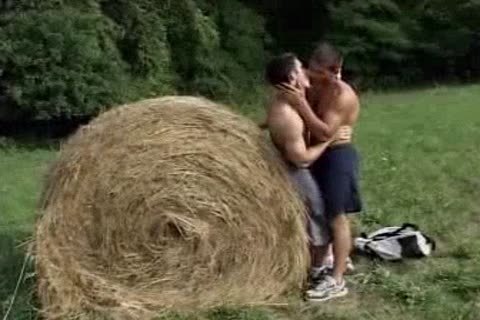 Gaysex