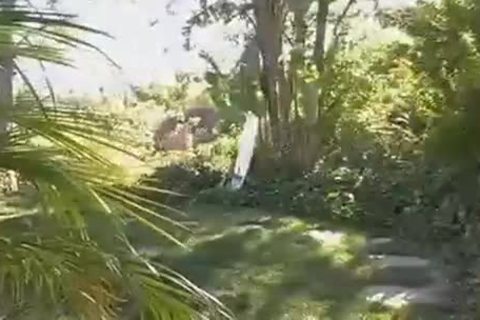 Tattooed homosexuals Outdoor plowling