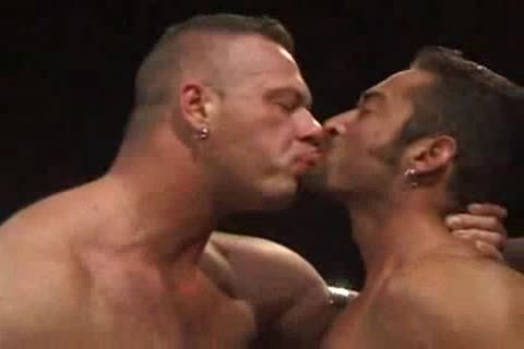 Cellar Muscle males