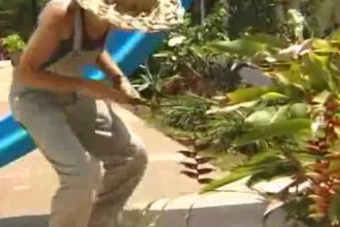 Yard homosexual men get Tempted