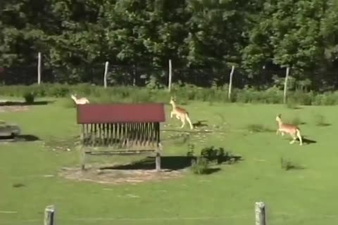 gay Porn Down twinks poke On The Farm