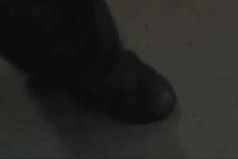 Luscious bfs slaming