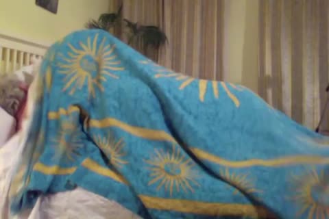 I Still Love My Pillow