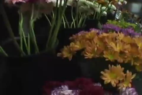 Luscious boy Giving thellos manad & gets boneed