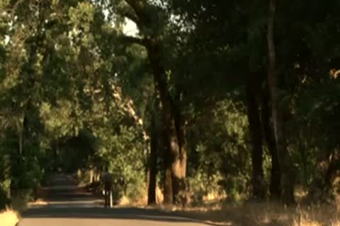 When A attractive Hungry  H.I.T.C.H.I.C.K.E.R Meets A lovely TOP