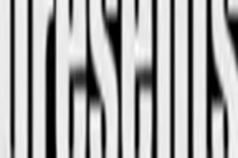 spoogepigs With Panalion