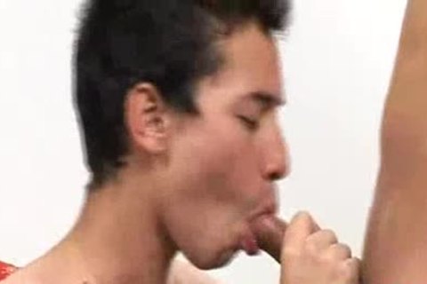 wild COLUMBIAN CUMHOUNDS