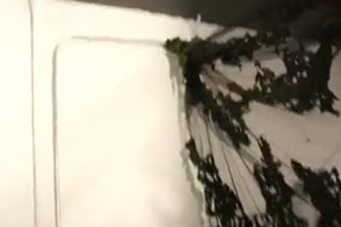 Skinny recent Recruits sucking - Factory video scene