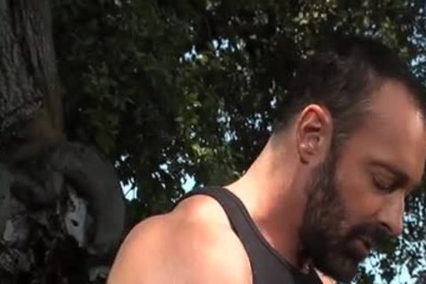 attractive Bears fucking Outside
