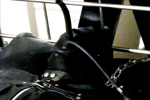 Wearing A Rubber Cat Suit Inside A Leather Body Bag chained To The daybed, Hooded And Gagged, Then Teased For Two Hours Until that guy sperm.