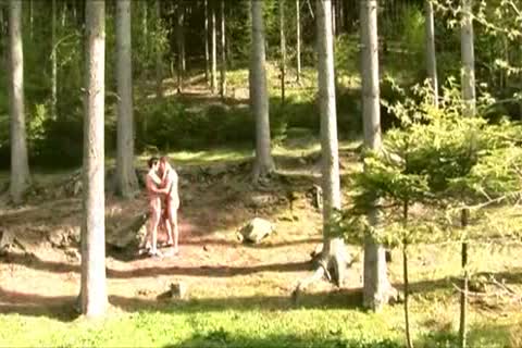 fellows In The Forrest