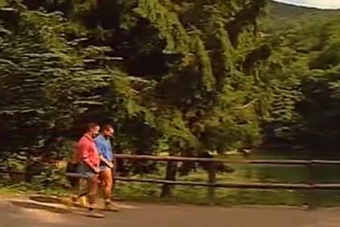 Lumber weenies - Scene 3 - Pacific Sun Entertainment