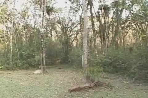 Loving Sex On The Grass With friends