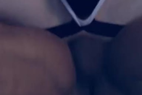 Victor & Zeus. bare Breeding Files