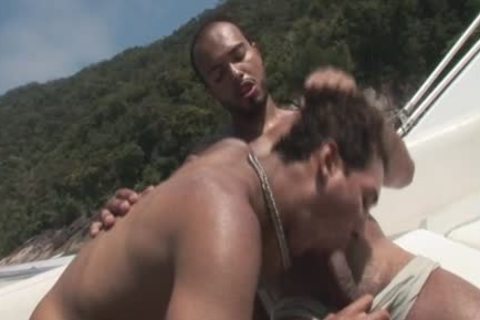 gay And On The pound Boat To Assholepoundville