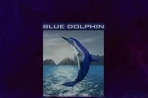 Watch Sarava - Hangar (2004)