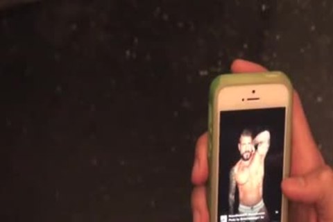 metallic stallion In A Stall Is Still A Stee