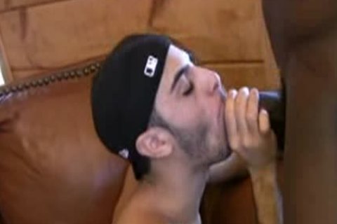 bare Cabin Adventure