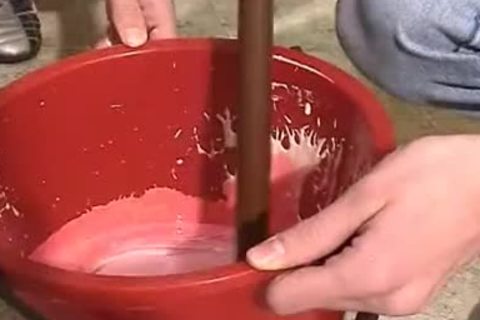 stripped Buggers twinks