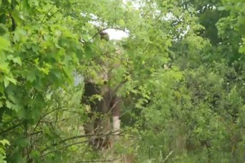 Jerry Kaytton Barebacks young Leo Ocean