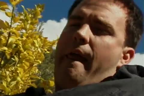 meeting Some Random Johnson